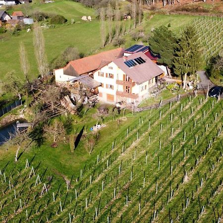 Appartement Weingut Schoberhof Бад-Глайхенберг Екстер'єр фото