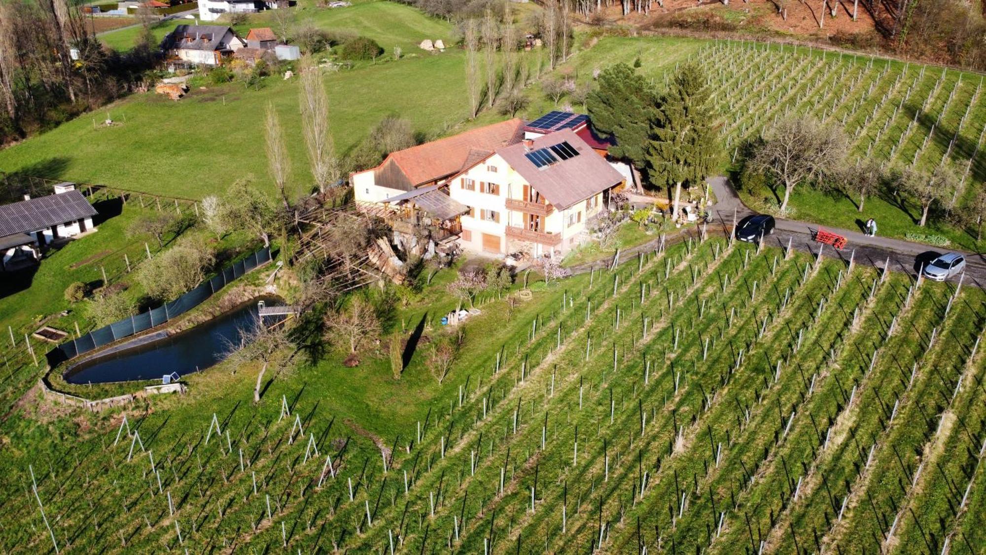Appartement Weingut Schoberhof Бад-Глайхенберг Екстер'єр фото