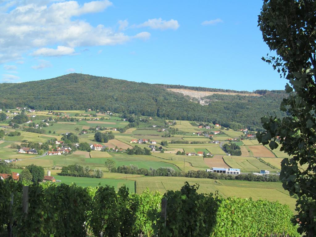 Appartement Weingut Schoberhof Бад-Глайхенберг Номер фото