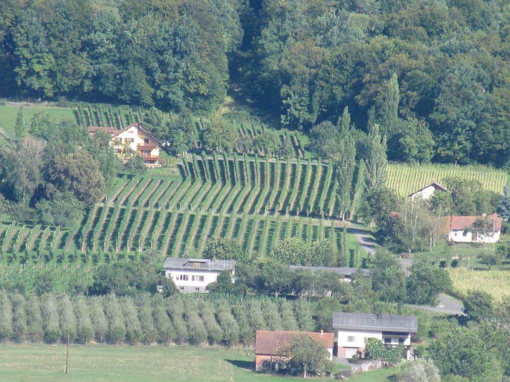 Appartement Weingut Schoberhof Бад-Глайхенберг Номер фото