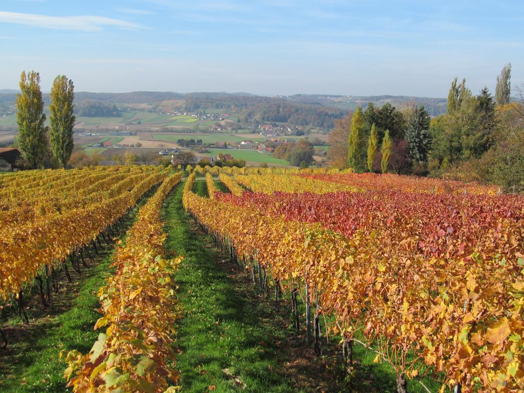 Appartement Weingut Schoberhof Бад-Глайхенберг Номер фото