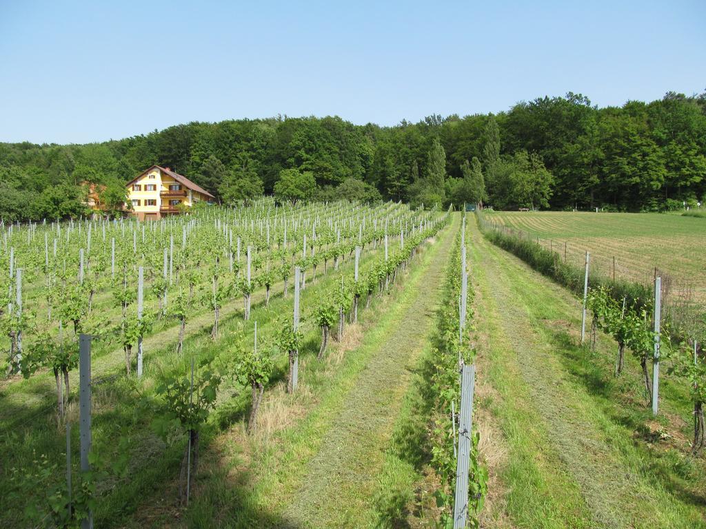 Appartement Weingut Schoberhof Бад-Глайхенберг Номер фото