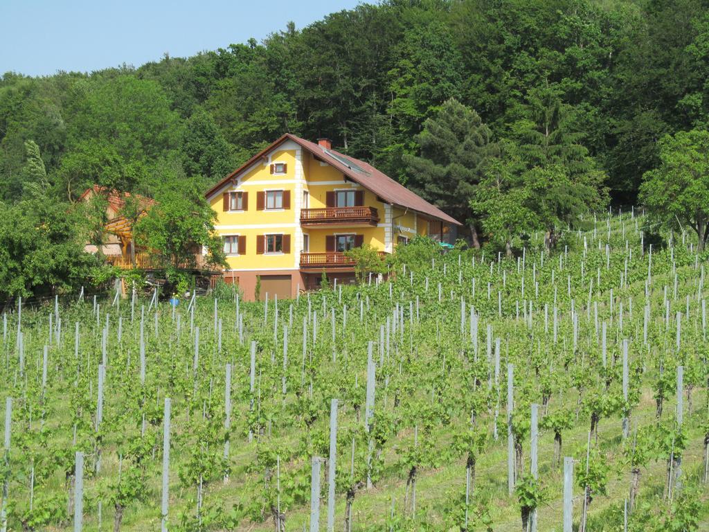 Appartement Weingut Schoberhof Бад-Глайхенберг Номер фото