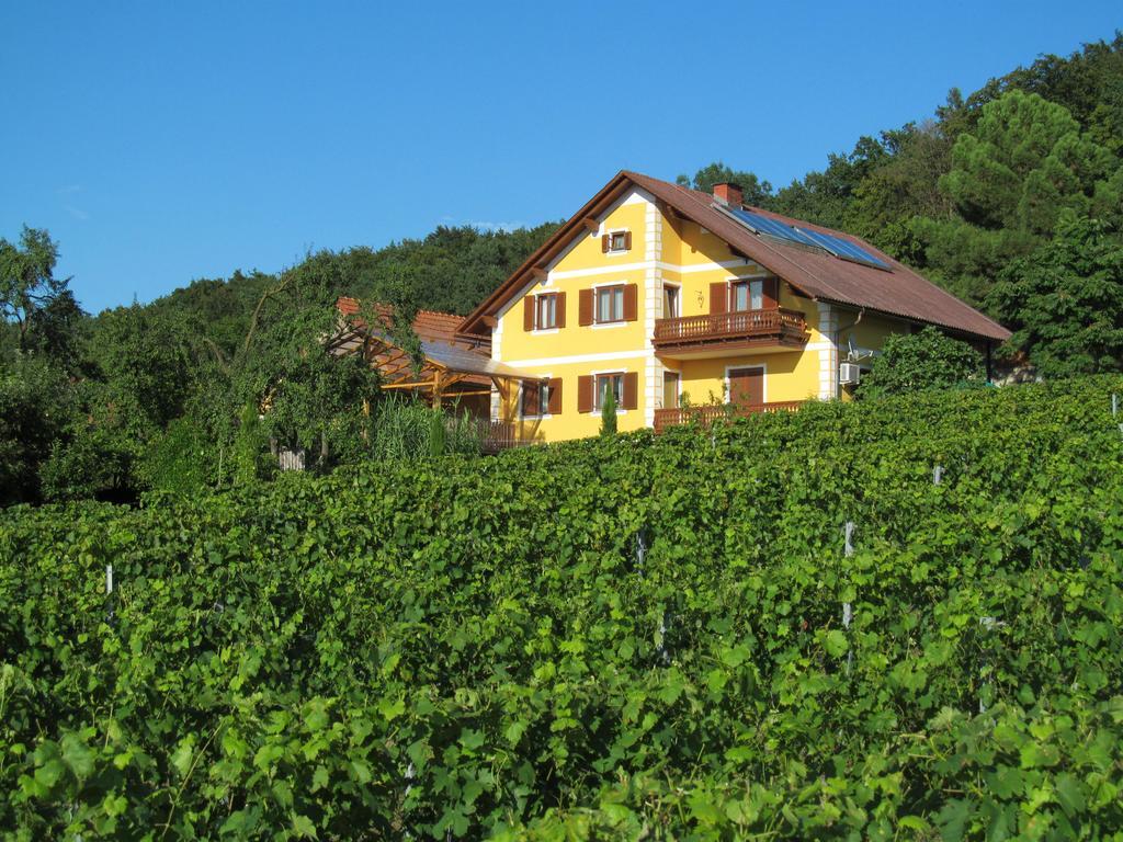 Appartement Weingut Schoberhof Бад-Глайхенберг Екстер'єр фото